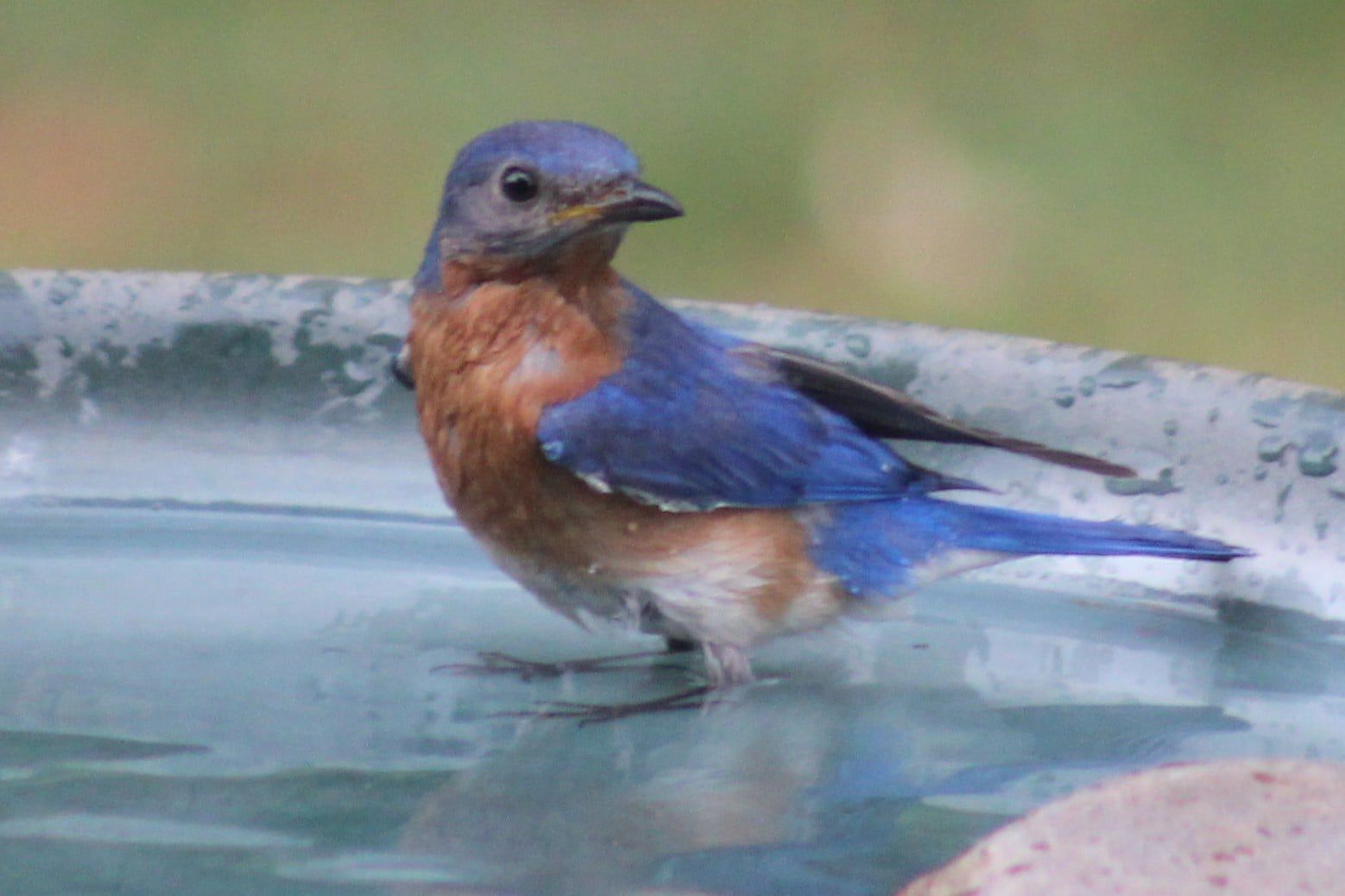 Splish, splash...